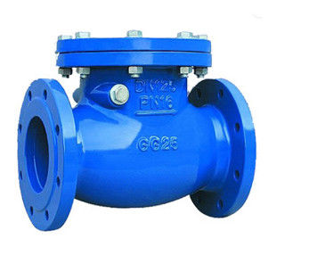 Multi Single Disc Door Flanged PN10 Stainless Swing Check Valve