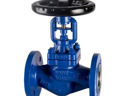 Flanged Bellows RF DN15 Stainless Steel Globe Valve Industrial Control Valves
